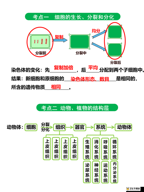 あなたは母がいない：关于这句话的深入探讨与分析